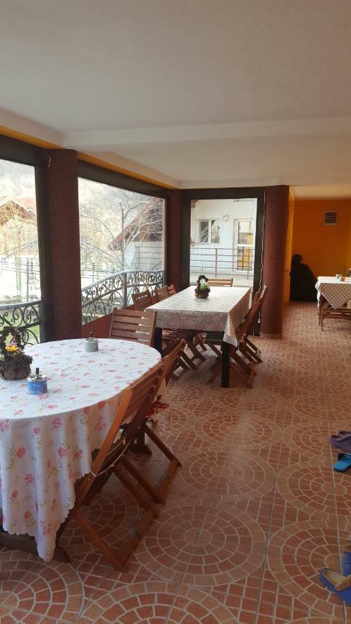 Casa Dodoc Otel Căciulata Dış mekan fotoğraf