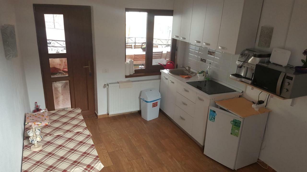Casa Dodoc Otel Căciulata Dış mekan fotoğraf